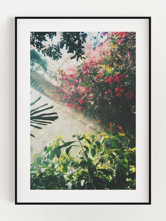 Botanic Poster