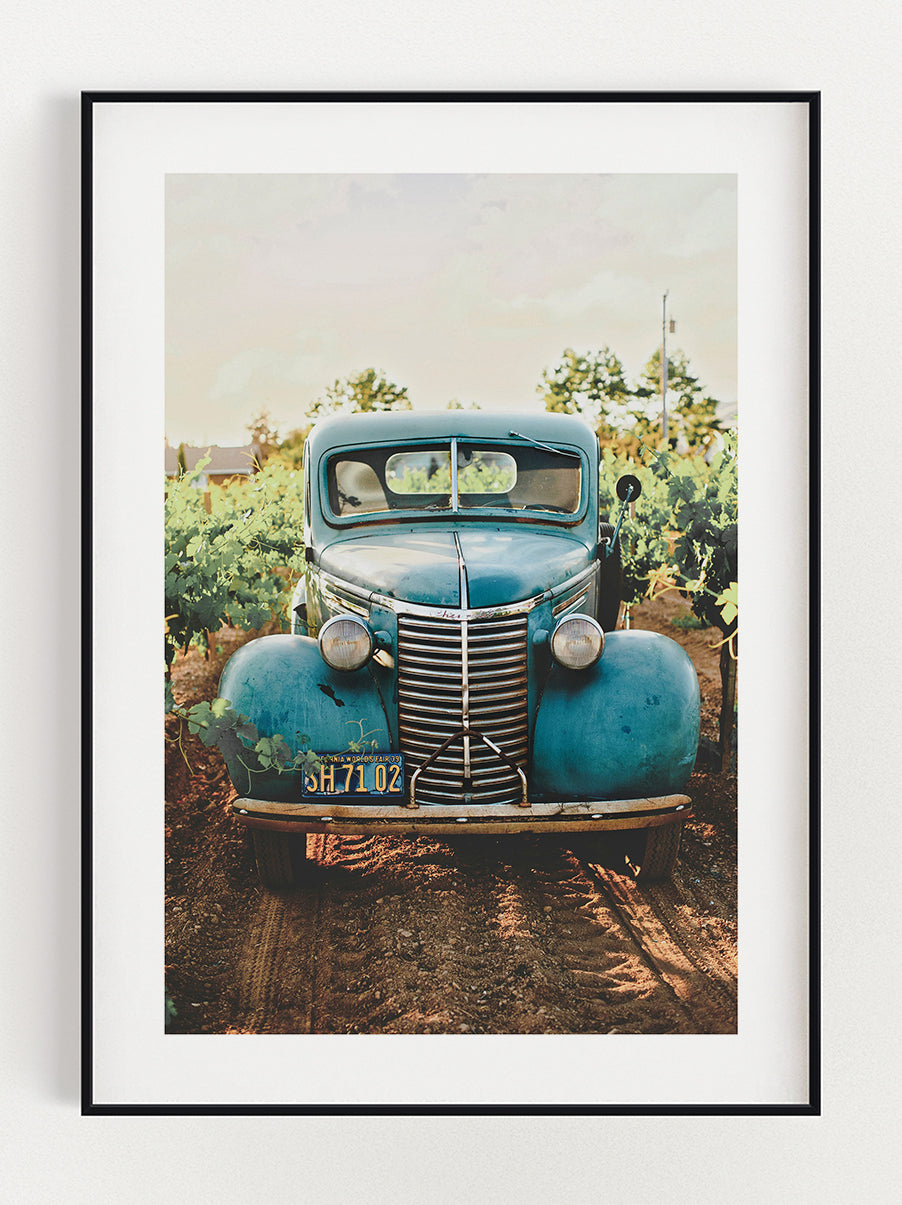 Car In The Vineyard poster