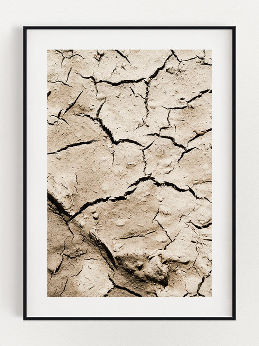Desert Ground Poster