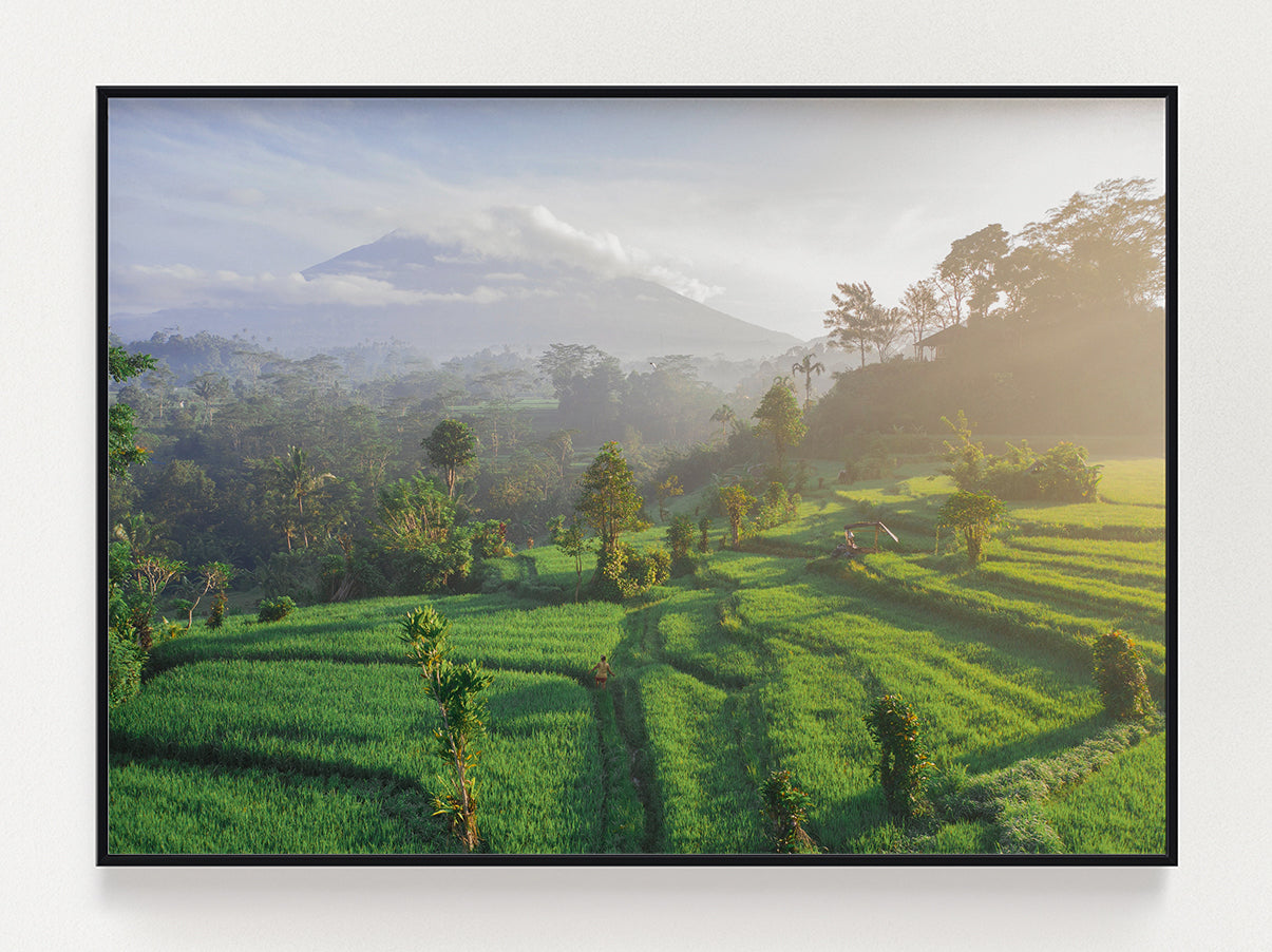 Stunning Field Poster