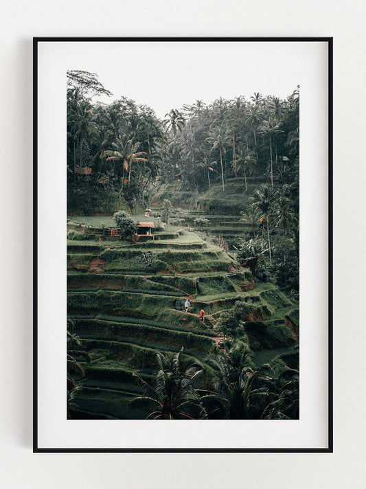 The Beauty Of Nature Poster