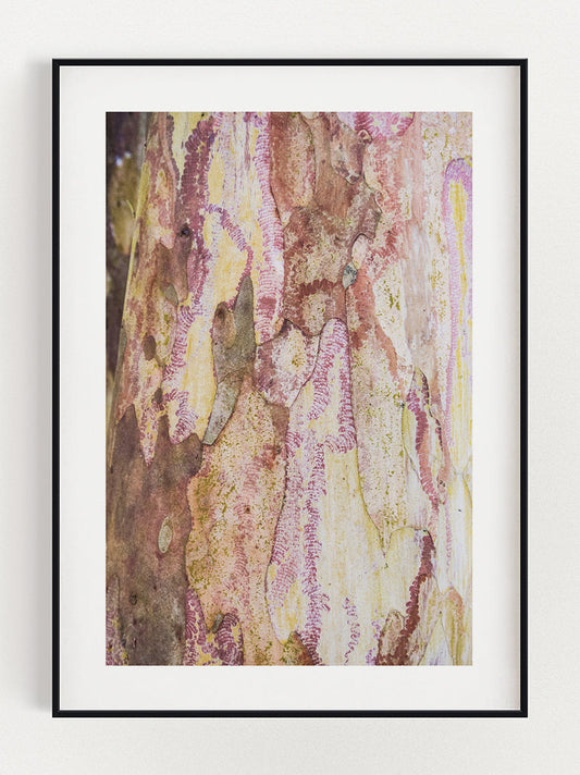 Tree Trunk Poster